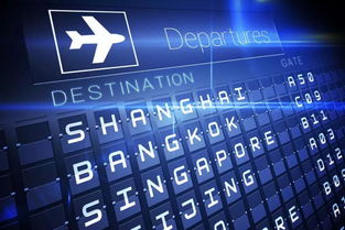 旅游企业数字化转型国内外